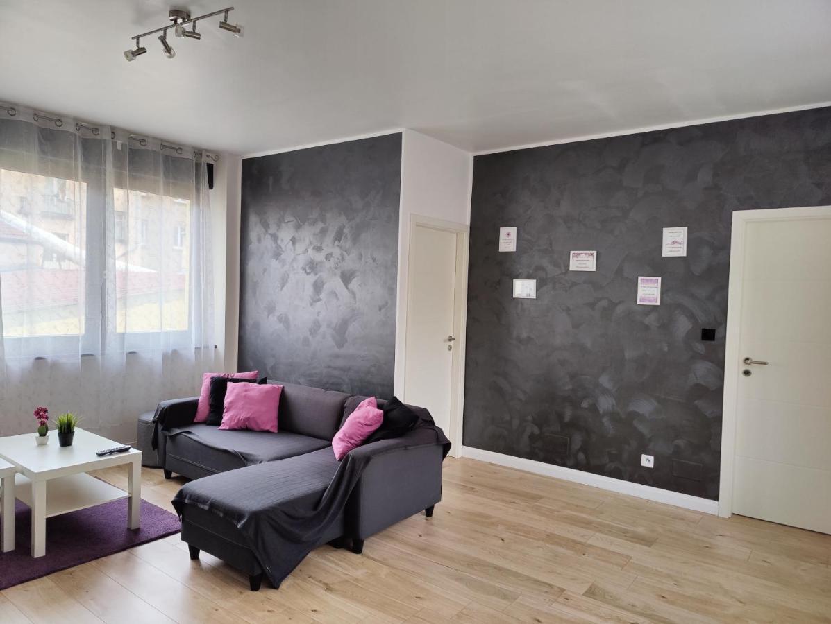 Le Purple, Appartement De Standing En Hypercentre Sarreguemines Exterior photo